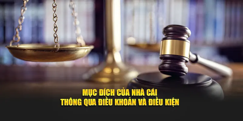 Lợi ích từ chính sách của nhà cái ban hành